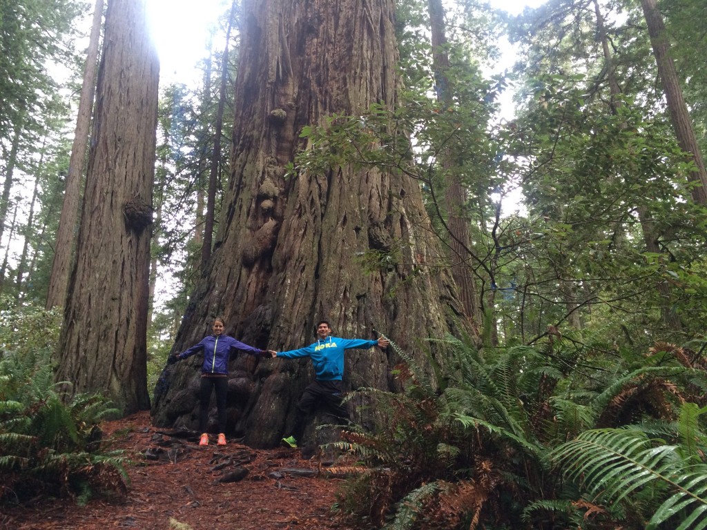 Sandi (my main support!) and I made a visit to the Redwoods after the race!